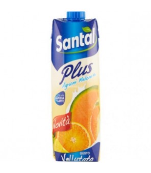 JUS DE SANTAL DE MELON ET D'AGRUMES EN BRIK 1 LT