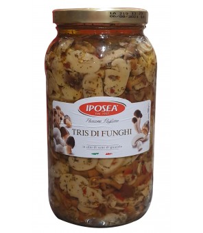 IPOSEA FUNGHI IN OLIO ML3100