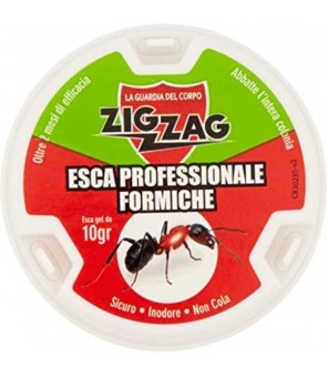 LEURRE ZIG ZAG POUR FOURMIS 10 GR