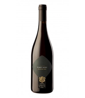 BODEGA LAVIS VINO PINOT NERO TRENTINO 75 CL