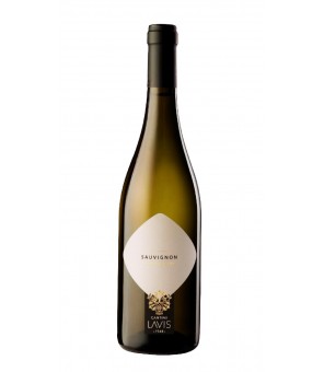 BODEGA LAVIS WINE SAUVIGNON CL 75