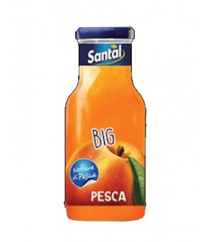 JUS DE PÊCHE SANTAL PLUS 24 X 250 ML