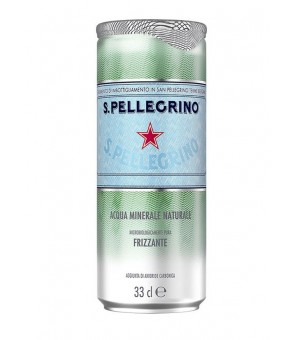 SANPELLEGRINO VATTEN KAN CL.33 X 24