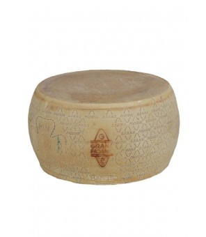 GRANA-PADANO-FORM ETWA 38 KG