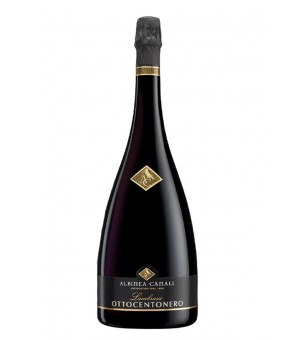 WINO ALBINEA CANALI OTTOCENTONERO LAMBRUSCO 1,5 LT