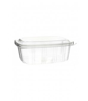 GC750 FRESHNESS CONTAINERS WITH LID X 50 PIECES