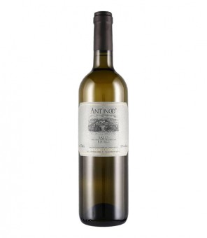 CASALE DEL GIGLIO VIN ANTINOO 2019 CL.75