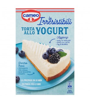 CAMEO GÂTEAU AU YAOURT L'IRRESISTIBLE GR.270