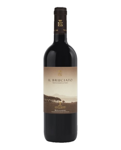 BOLGHERI DER VERBRANNTE 2021 CL.75