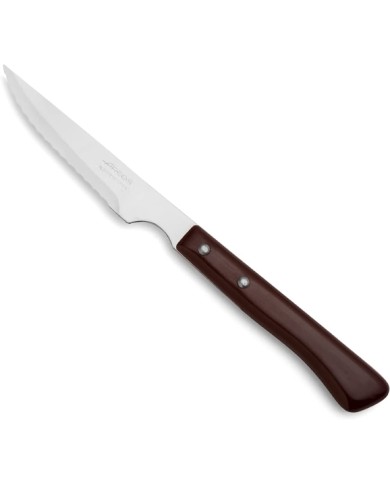 ARCOS STEAK KNIFE WITH NYLON HANDLE 110 mm