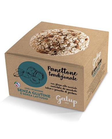 GALUP PANETTONE TRADIZIONALE SENZA GLUTINE GR.400