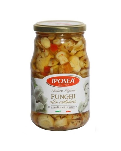 IPOSEA FUNGHI ALLA CONTADINA 580 ML