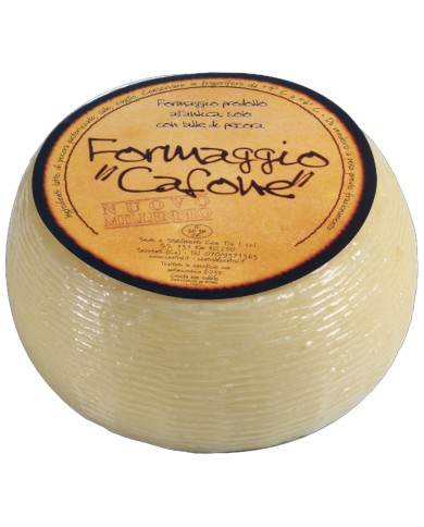 CENTRAL FORMAGGIO PECORINO IL CAFONE INTERO 1,2 KG CIRCA