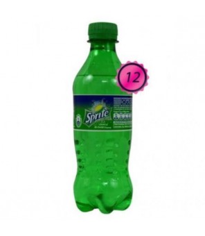 PET-SPRITES 12 STÜCKE X 450 ML