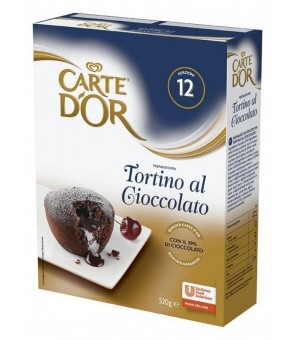 CARTE D'OR TORTINO CHOCOLADE GR.520