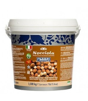 FABBRI CREAMY HAZELNUT 3,5 KG