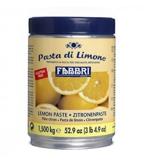 FABBRI CITRON PASTE KG.1,5