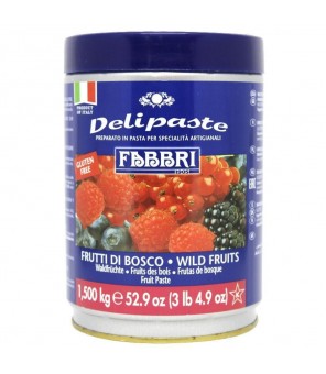 FABBRI DELIPASTE FRUTTI DI BOSCO KG.1,500