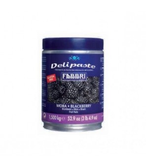 FABBRI DELIPASTE BLACKBERRY KG 1,50